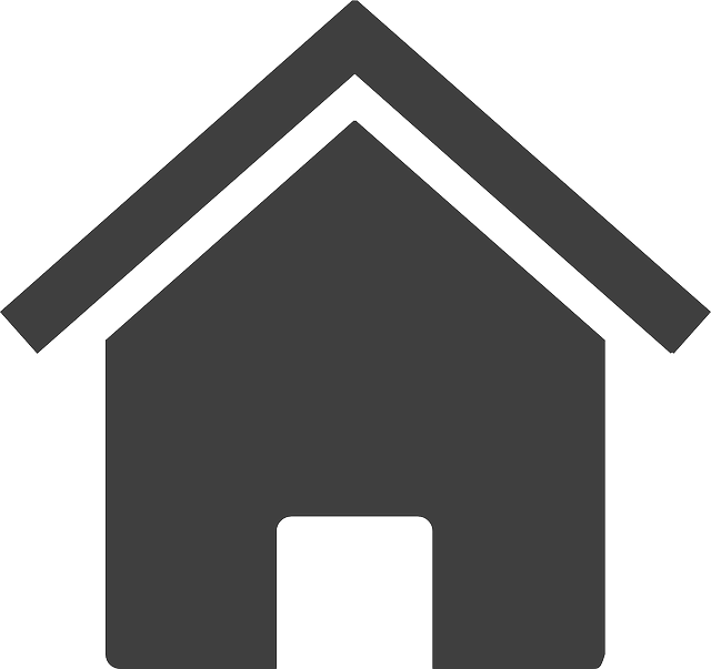 home button